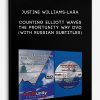 Justine Williams-Lara – Counting Elliott Waves. The Profitunity Way DVD (with Russian subtitles)