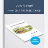 Doug O’Brien – “How Deep the Rabbit Hole”
