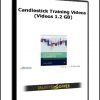 Candlestick Training Videos (Videos 1.2 GB)