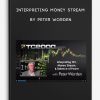Interpreting Money Stream by Peter Worden