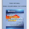 Todd Mitchell – Emini Volume Break Out System
