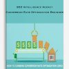 SEO Intelligence Agency – Conversion Rate Optimization Beginner