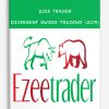 Ezee Trader – Divergent swing trading (2019)