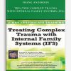 Frank Anderson – Treating Complex Trauma with Internal Family Systems (IFS)