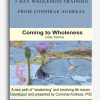 3-day Wholeness Training from Connirae Andreas