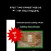 Splitting Synesthesias within the Rhizome by John Overdurf