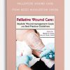 Palliative Wound Care Realistic Wound Management Goals and Best-Practice Guidelines from Heidi Huddleston Cross