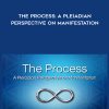 The Process: A Pleiadian Perspective on Manifestation by Wendy Kennedy