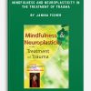 Mindfulness and Neuroplasticity in the Treatment of Trauma by Janina Fisher