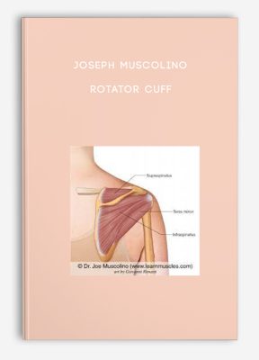Joseph Muscolino - Rotator Cuff