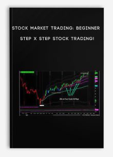 Simpler Trading – VWAP Max Tool Package – Raghee Horner