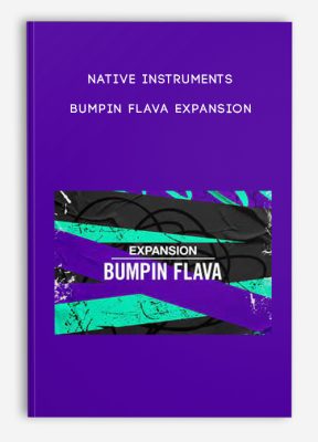 Native Instruments - Bumpin Flava Expansion