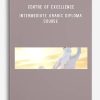 Centre of Excellence – Intermediate Arabic Diploma Course
