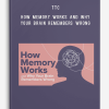 TTC – How Memory Works and Why Your Brain Remembers Wrong