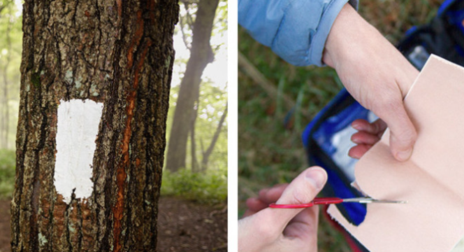 Aim Adventure U – Bundle & Save Thru-Hiking 101 + Wilderness First Aid Basics