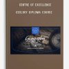 Centre of Excellence – Geology Diploma Course