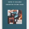 Centre of Excellence – Songwriting Diploma Course