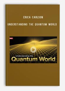 Erica Carlson – Understanding the Quantum World