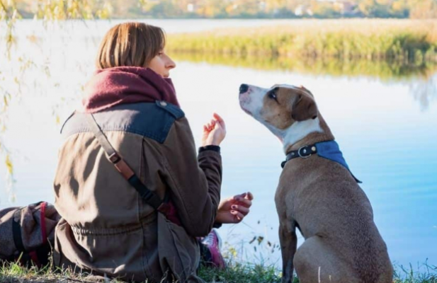 Inner Spirit – Natural ANIMAL Communication CERTIFICATION Course 2022