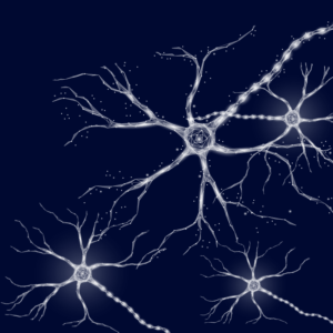 Peter Levine & Pat Ogden & Bessel van Der Kolk – NICABM – Expert Strategies for Working with Traumatic Memory
