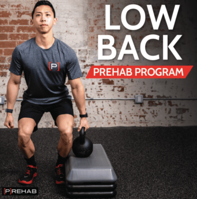The Prehab Guys – LOW BACK [P]REHAB PROGRAM