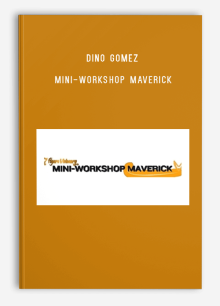 Dino Gomez – Mini-Workshop Maverick
