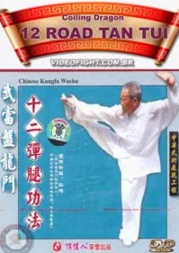 WU DANG COLING DRAGON – 12 ROAD TAN TUI