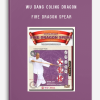 WU DANG COLING DRAGON – FIRE DRAGON SPEAR