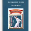 WU DANG COLING DRAGON – FUNDAMENTALS