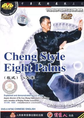 MASTER LIU JING RU – TRADITIONAL CHENG STYLE BAGUA 01