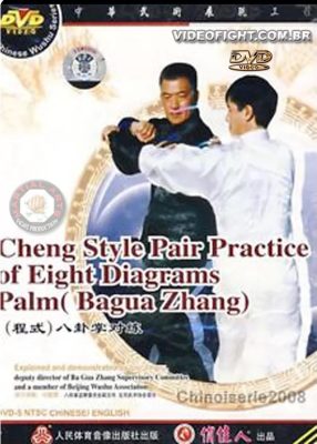 MASTER LIU JING RU – TRADITIONAL CHENG STYLE BAGUA 02