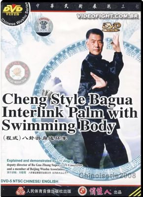 MASTER LIU JING RU – TRADITIONAL CHENG STYLE BAGUA 04