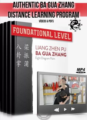 TOM BISIO – AUTHENTIC BA GUA ZHANG DISTANCE LEARNING PROGRAM FUNDAMENTAL