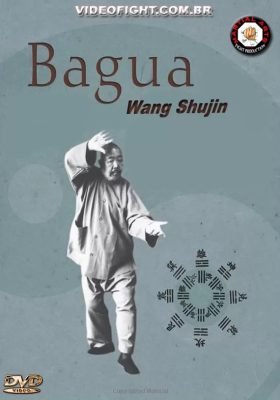 WANG SHUJIN BAGUAZHANG